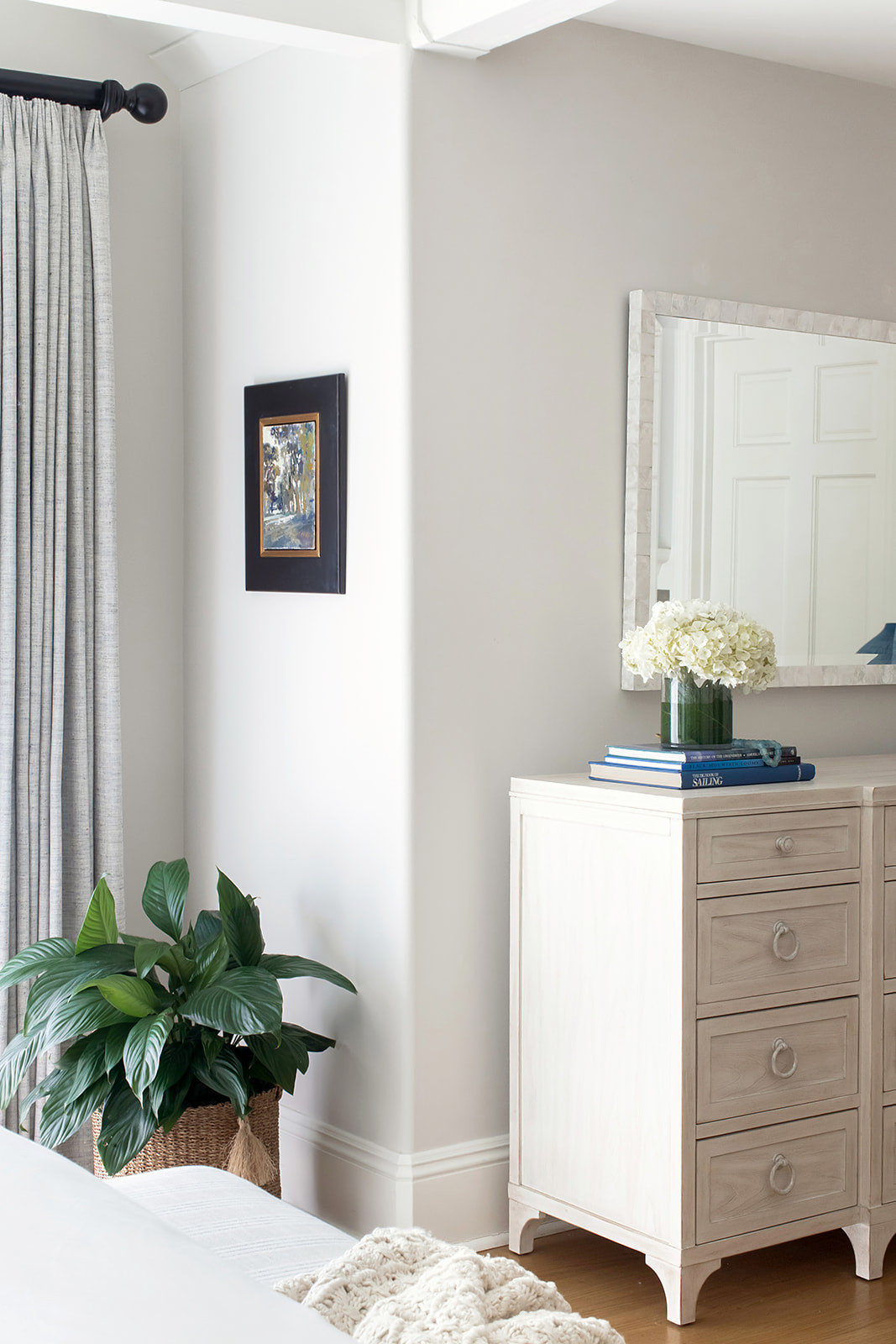 Living room storage shelves and green foliage add classy touch in interior design